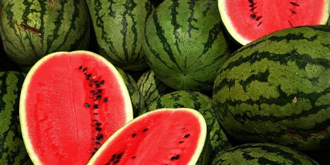 Watermelons Your YearRound Refreshment Bagley Produce